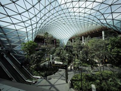 Jelang Piala Dunia, Ada Taman Tropis Baru di Bandara Qatar