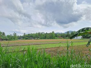 Apa Itu Tanah Kas Desa? Ini Pengertian dan Aturan Pemanfaatannya