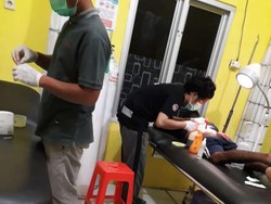 Pria di Kalsel Diterkam Buaya Saat Buang Air Besar di Galangan Kapal