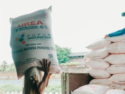 Sulsel Dapat Jatah Pupuk Subsidi NPK Kakao 22.884 Ton di 2023