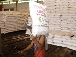 Hati-hati! Banyak Pupuk Tiruan Beredar dengan Harga Murah, Ini Bedanya