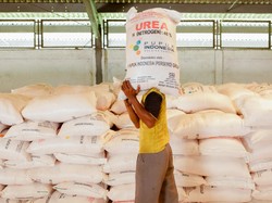 Pupuk Iskandar Muda Produksi 526 Ribu Ton Pupuk Urea, Pasokan Gas Aman?