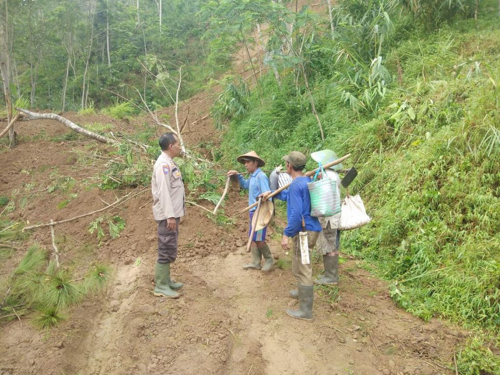 Tebing Puluhan Meter Longsor, Jalan Desa di Kandangserang Pekalongan Putus