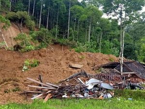 Korban Tertimbun Longsor di Pesisir Barat Ditemukan Tewas Korban Tertimbun Longsor di Pesisir Barat Ditemukan Tewas