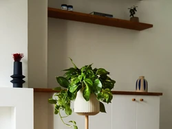 Ilmuwan Bikin Tanaman Rekayasa Genetika, Diklaim Jago Bersihkan Udara