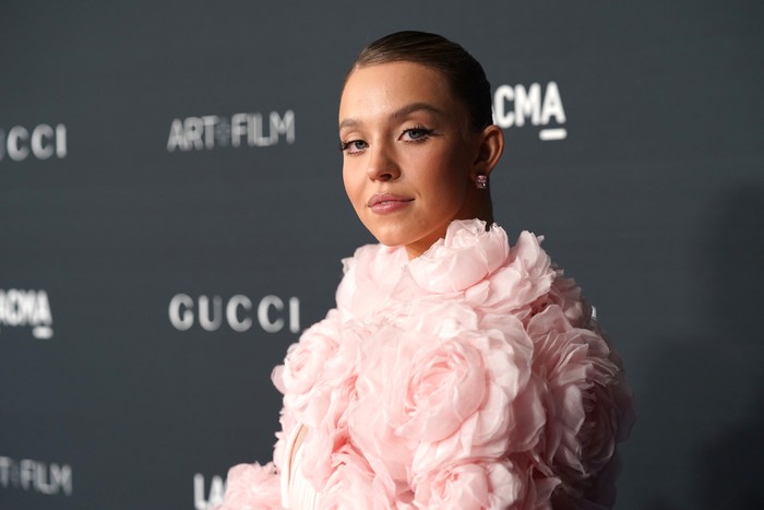 Sydney Sweeney LOS ANGELES, CALIFORNIA - OCTOBER 17: Sydney Sweeney attends the 29th Annual ELLE Women in Hollywood Celebration on October 17, 2022 in Los Angeles, California. (Photo by Jon Kopaloff/WireImage,)
