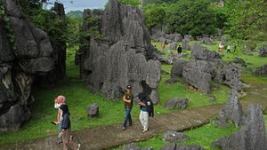 Menjelajah Taman Prasejarah Leang-leang di Maros Sulsel