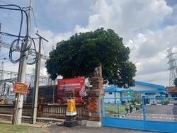 PLTG Gilimanuk Pastikan Cadangan Listrik Aman Saat KTT G20