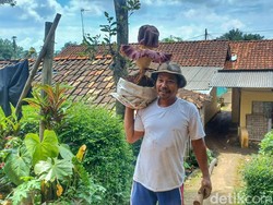 Cerita Warga Bandung Hidup Berdampingan dengan Bunga Bangkai