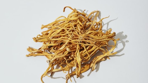 Rahasia orang Cina menjaga tubuh dan pikiran