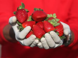 Video Mikroskop Ini Bikin Ngeri Makan Strawberry Tanpa Dicuci