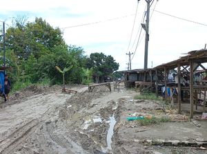 Warga Blokir-Tanam Pohon Pisang di Jalan Rawe I Medan, Ini Sebabnya