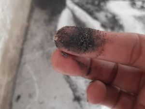 Debu Batu Bara Cemari Rusun Marunda Lagi, Warga Desak Pemprov DKI Investigasi Debu Batu Bara Cemari Rusun Marunda Lagi, Warga Desak Pemprov DKI Investigasi