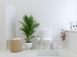 3 Jurus Jitu Cegah Rambut Masuk ke Saluran Air di Kamar Mandi 3 Jurus Jitu Cegah Rambut Masuk ke Saluran Air di Kamar Mandi