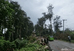 Gutta Percha Perenggut Nyawa di Jalur Alternatif Cikidang Sukabumi