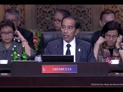 Jokowi Buka KTT G20 Bali, Singgung Krisis Dunia