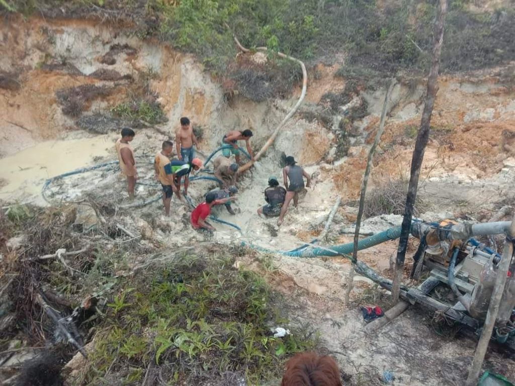Tambang Emas Ilegal di Kapuas Kalteng Longsor, 3 Orang Tewas Tertimbun