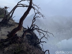 Turis Jatuh Keserimpet Rok di Ijen, Sandiaga Prihatin & Beri Imbauan Tegas