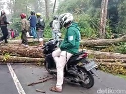 Tragedi Pohon Tumbang Tewaskan Pemotor di Cikidang Sukabumi