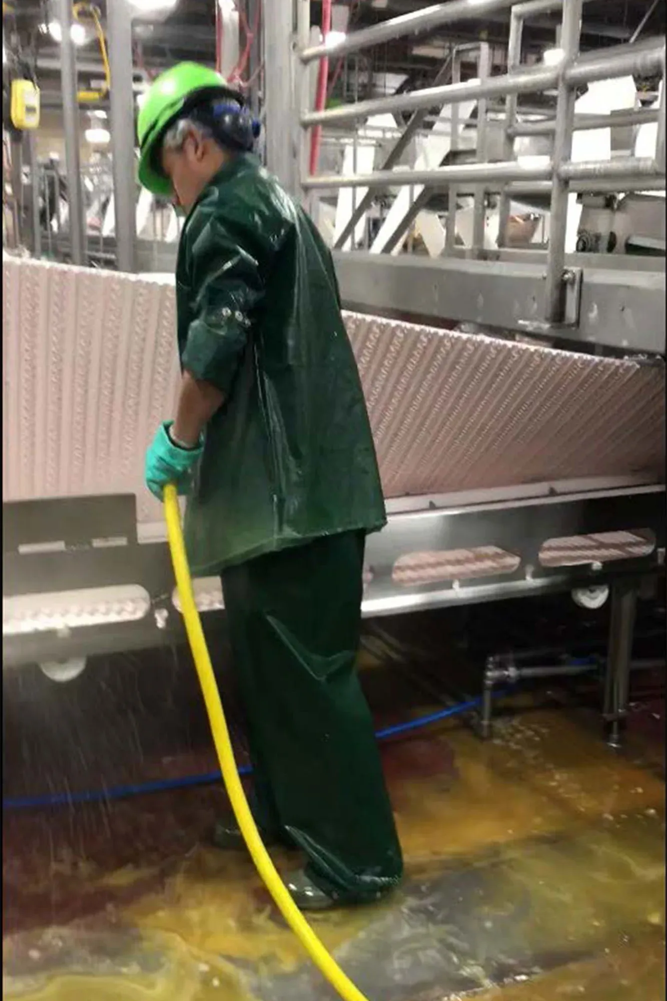 Pekerja Anak di Pabrik Pengepakan Daging di AS