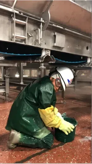 Pekerja Anak di Pabrik Pengepakan Daging di AS