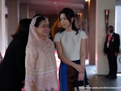 Pembuat Meme Iriana-Kim Keon Hee Seorang Komikus