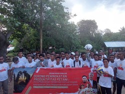 Relawan Ganjar Bagikan Benih Padi ke Kelompok Tani di Kabupaten Sikka