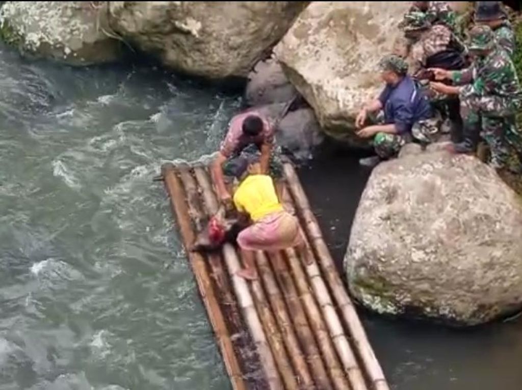 Warga Hilang di Sungai Keramat, Ritual Potong Babi Pun Digelar Warga Hilang di Sungai Keramat, Ritual Potong Babi Pun Digelar