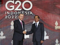 Erdogan Ungkap Dukungan RI Beri Semangat Turki Pulih dari Serangan Bom