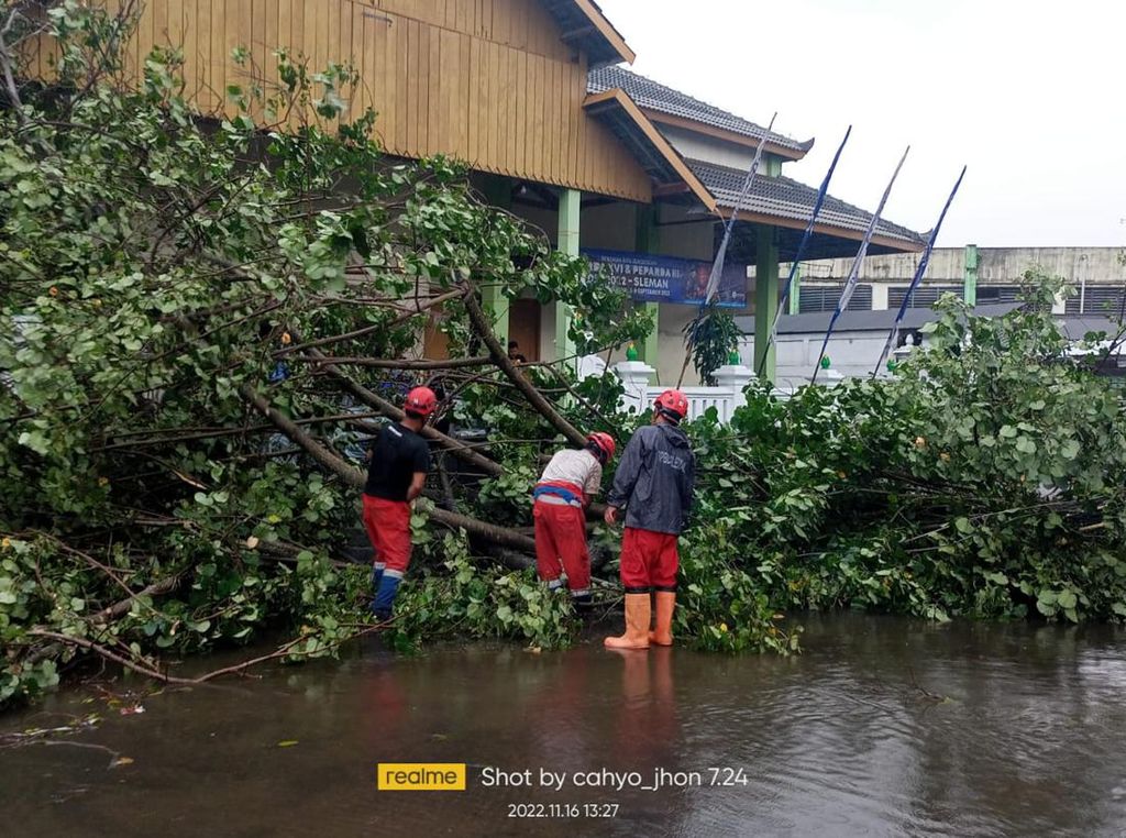 Hujan-Angin Kencang di Sleman: Pohon Tumbang Timpa Rumah-Warung