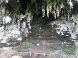Mengenal Gua Braholo Gunungkidul, Lokasi Mahasiswa UNS Tewas Terjatuh