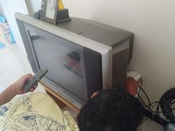 Nih! 4 Biang Kerok Penyebab Susah Dapat Sinyal Siaran TV Digital
