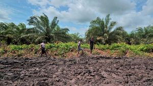 Nasib Warga Jambi Usai Akses Penghubung Dua Kecamatan Terputus