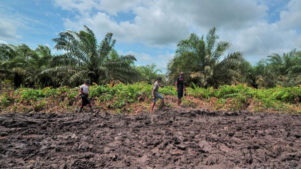 Nasib Warga Jambi Usai Akses Penghubung Dua Kecamatan Terputus