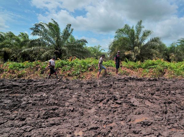 Nasib Warga Jambi Usai Akses Penghubung Dua Kecamatan Terputus