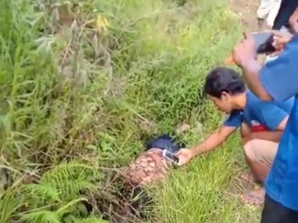 Pelajar SMP Tewas Leher Tersayat dalam Selokan di Sumsel Diduga Korban Begal Pelajar SMP Tewas Leher Tersayat dalam Selokan di Sumsel Diduga Korban Begal