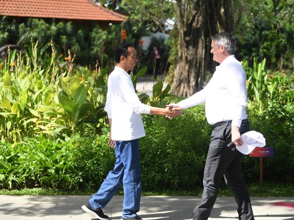 Pemimpin Negara G20 Kunjungi Tahura Ngurah Rai
