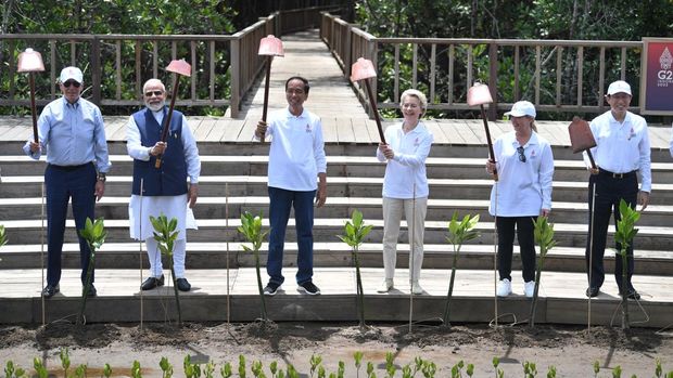 Presiden Joko Widodo (ketiga kiri) bersama (kiri-kanan) Presiden Amerika Serikat Joe Biden, Perdana Menteri India Narendra Damodardas Modi, Presiden Komisi Eropa Ursula von der Leyen, Perdana Menteri Italia Giorgona Meloni dan Perdana Menteri Jepang Fumio Kishida mengangkat cangkulnya usai menanam pohon mangrove di Taman Hutan Raya (Tahura) Ngurah Rai pada hari kedua KTT G20 Indonesia di Denpasar, Bali, Rabu (16/11/2022). ANTARA FOTO/Media Center G20 Indonesia/Akbar Nugroho Gumay/wsj.