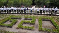 Potret Jokowi dan Pemimpin G20 Tanam Mangrove di Tahura Bali