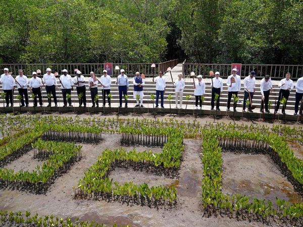 Potret Jokowi dan Pemimpin G20 Tanam Mangrove di Tahura Bali