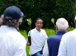 Kunjungi Hutan Mangrove, Jokowi Ajak Biden Cs Bangun Ekonomi Hijau