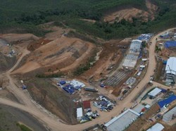 Siap-siap! Ini Daftar Lengkap Penghuni Awal Ibu Kota Nusantara