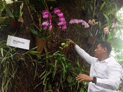 Walkot Kediri Harap Konservasi Anggrek di Hutan Kota Jadi Sarana Edukasi