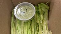 10 Zonk Makanan Terbaru, Sudah Bayar Mahal Dapatnya Begini