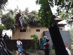 Hujan Deras, Tanah Longsor-Pohon Tumbang Kembali Landa Karangasem