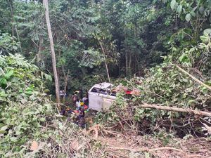Tragis Bus Bawa 20 Atlet di Berau Tak Kuat Nanjak Berakhir Masuk ke Jurang Tragis Bus Bawa 20 Atlet di Berau Tak Kuat Nanjak Berakhir Masuk ke Jurang