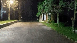 Jurit Malam: Menapaki Sunyi dan Sepi Vila Suzanna yang Terbengkalai