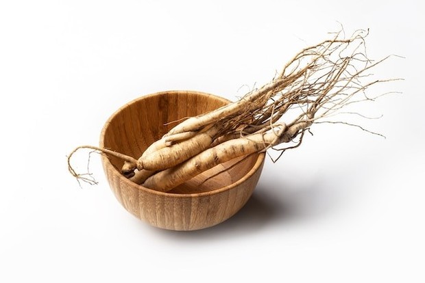 Ginseng memiliki banyak khasiat untuk mencegah penuaan