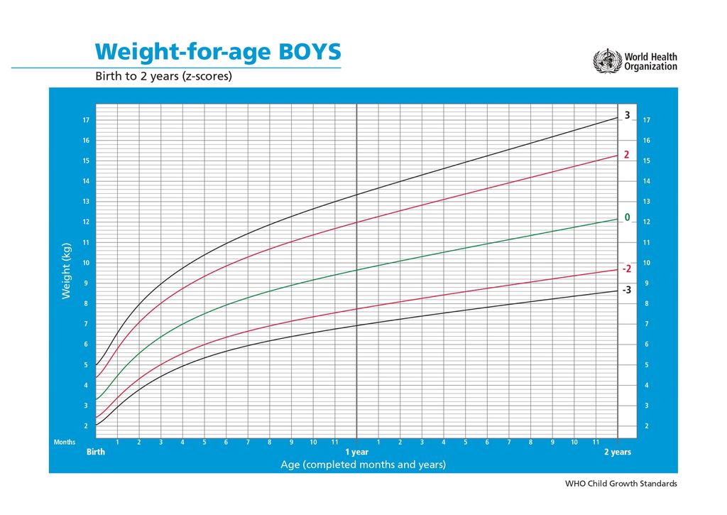 Grafik Berat Badan Normal Bayi Laki-laki