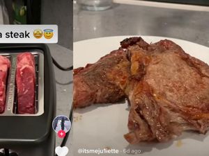 Heboh Tren Panggang Steak di Panggangan Roti, Ternyata Bisa Picu Kebakaran!